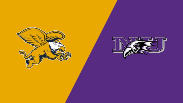 这一进球不 这一进球不